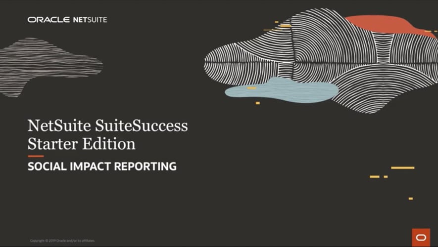 NetSuite SuiteSuccess for Non-Profits: Reporting/Analytics