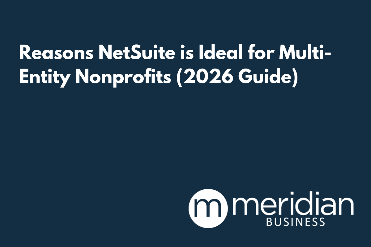 netsuite for multi-entity nonprofits